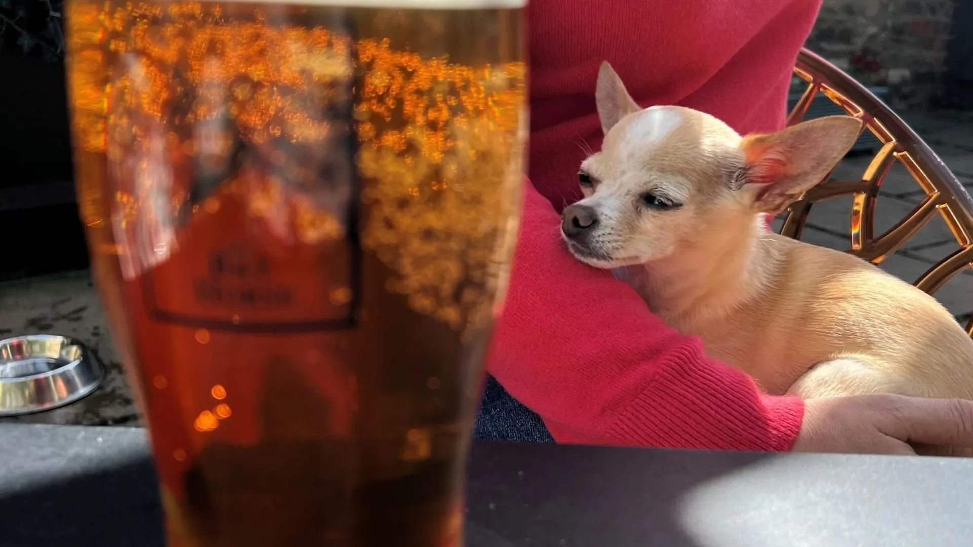 The Bay Horse, Masham Hotel